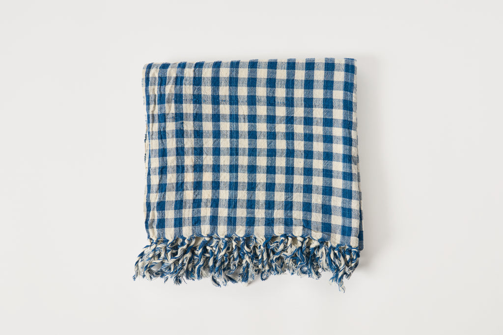 Blue and white checkered kitchen towel with frayed edges on a light gray background