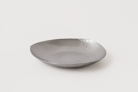 Stainless Steel Dish